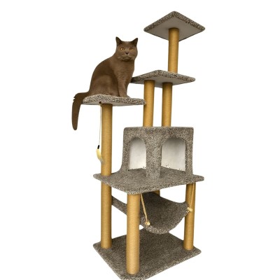 Robert Shop Collection Ονυχοδρόμιο/Γατόδεντρο Mexico