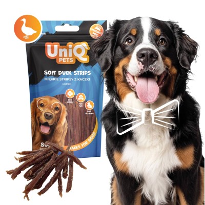 Uniq 80gr Λιχουδιά για Σκύλους Μαλακές Λωρίδες με Πάπια Uniq 80gr Λιχουδιά για Σκύλους Μαλακές Λωρίδες με Πάπια