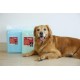 Uniq Snappy Pawdry Blue Επιδαπέδιες Πάνες Εκπαίδευσης Σκύλων 60×90cm 20τμχ