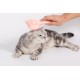 Uniq Pets Χτένα Γάτας Περιποίησης σε Σχήμα Γάτας Ροζ