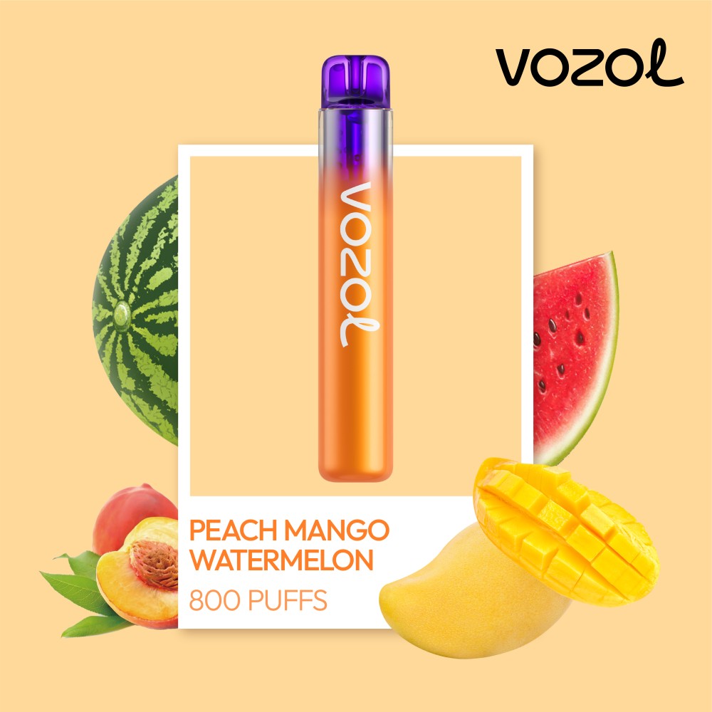 Vozol Neon 800 Vape μιας χρήσης 2ml 2% mg 800 puffs Peach Mango Watermelon