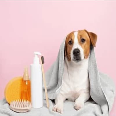 Καθαριότητα και Περιποίηση Κατοικιδίων