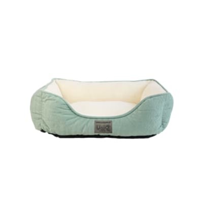 Σπίτι και Ύπνος Σκύλου